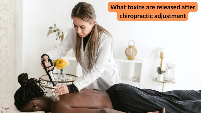 What toxins are released after chiropractic adjustment